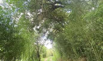 Imagem: Terreno grande em Ibiúna 1.000m² em área