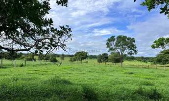 Imagem: Sitio com 16 hectares, sendo 12 hectares