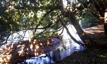 Imagem 6: Vede-se Chácara (Povoado Morrão/São Desidério-BA