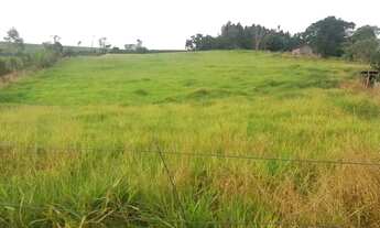 Imagem 5: Sítio em Pinhalão PR 3 alqueires