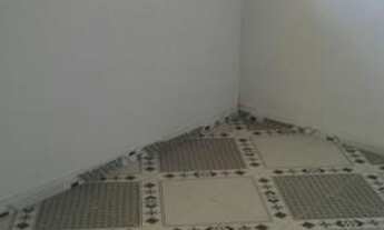 Imagem 2: Aluga-se casa no cleto marque Luz