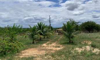 Imagem 2: Vendo chácara roça