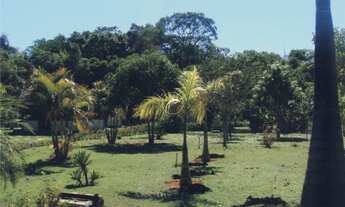 Imagem: Brasília - Terreno Padrão - Região dos