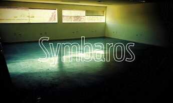 Imagem 4: Galpão Comercial