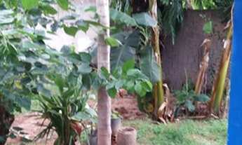 Imagem 5: A.C) Novo Horizonte- Grajaú