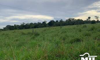 Imagem 2: Fazenda Margem do Rio Araguaia-PA. > 26 Alq. (126 Há