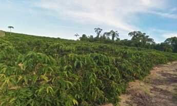 Imagem 5: $ vendo terreno na regiao de domingos martins