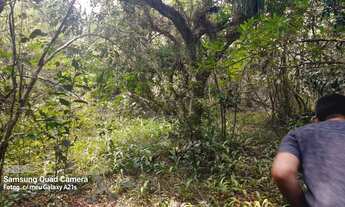 Imagem 3: Chácara em Glorinha RS, com vertentes e Escriturada!