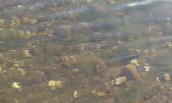 Imagem: Area na comunidade Barra do Bom Jardim/