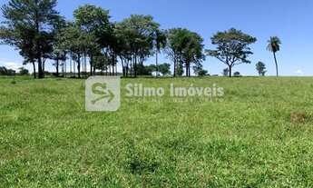 Imagem 4: Venda Fazenda ÁREA RURAL DE UBERLÂNDIA