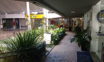 Imagem 4: Loja na Pelinca Terreno / lote com venda por R$400.000