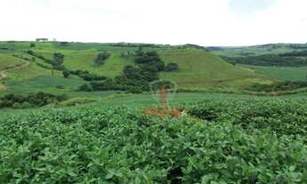 Imagem 7: Fazenda à venda, 2819300 m² por R$ 36.000.000,00 - Vila Formosa - Apucarana/PR