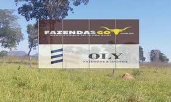 Imagem 1: Fazenda Extra - 206 alqueires - Pontal do Araguaia - MT ! Dupla aptidão !