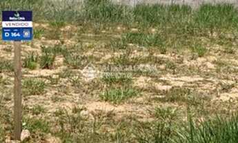 Imagem 3: PORTO ALEGRE - Terreno Padrão - Lomba do Pinheiro