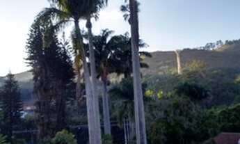 Imagem 4: Sítio com casarão no centro de Itaipava(Comercial / multifamiliar