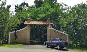 Imagem 2: Santo Antônio de Posse - Fazenda - Santo Antônio de Posse