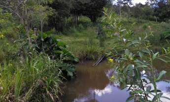 Imagem 6: Sítio em Desterro de Entre Rios MG Casa Centenária 30 mil metros 2 lagoas