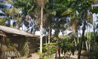 Imagem 6: Moura Corretora - Vende um Chácara em Americano com 10 hectares, Santa Izabel, Pará