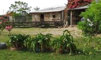 Imagem 2: Sítio em Lami Chácara com venda por R$480.000