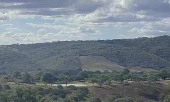 Imagem 5: Gravatá - Melhor Lote do Condomínio Reserva Residencial Serra de Gravatá