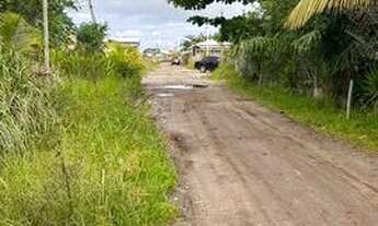 Imagem 6: Terreno em Taipu de Fora 400m da praia e das piscinas naturais