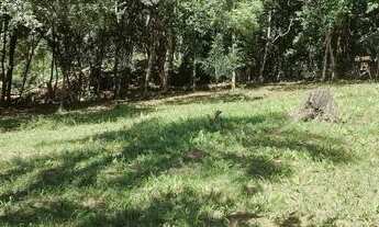 Imagem 3: Lindos terenos pra venda de barbada em novo Hamburgo