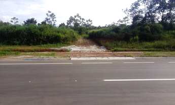 Imagem 6: Terreno Est Manacapuru km61 é 50x2000 na principal a 35 minutos da ponte