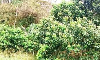 Imagem 7: Terreno - Serra dos Lagos (Jordanésia) - Cajamar