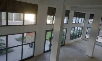 Imagem 8: Lojas para aluguel ou venda entre 117 a 350 m² Chácara Klabin