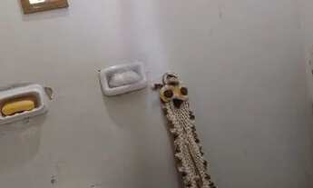 Imagem 4: Casa Casa com 3 dormitórios