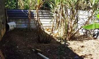 Imagem 5: Casa tipo granja