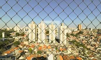 Imagem 7: Apartamento para Aluguel - Jardim Éster Yolanda, 3 Quartos, 86 m2