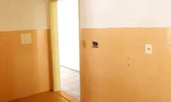 Imagem 5: Eucalipto - 2/4 - Térreo - Sombra