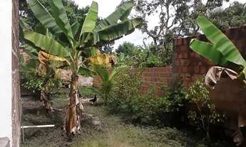 Imagem 5: Vende se Casa com 2 dormitórios