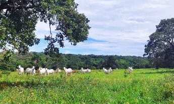 Imagem 4: Fazenda 38 Alqueires Vale do Araguaia