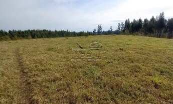 Imagem 2: Sítio à venda Terreno / lote com venda por R$149.000