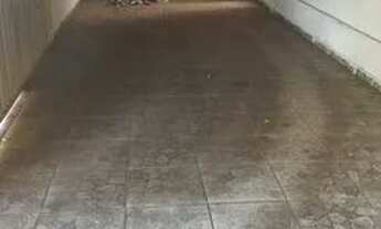 Imagem 6: Aluga - se casa Casa com 3 dormitórios