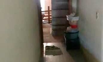 Imagem 2: Venda Casa com 4 dormitórios