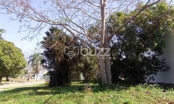 Imagem: Terreno - Jurerê Internacional - Florianópolis