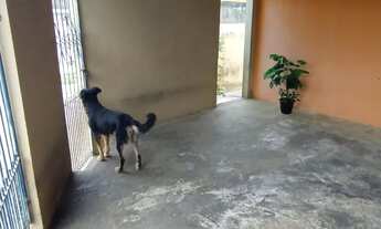 Imagem 3: Casa no Campos de São José