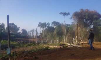 Imagem 2: Terreno pronto para construir