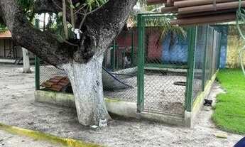 Imagem 6: Sitio Lagoa Do Banana 30 X 120 Valor R$650.000,00. : Marcos 9:23