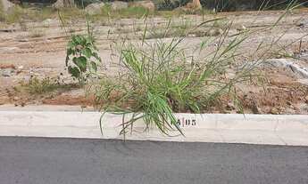 Imagem: Lote/Terreno para venda com 3526 metros