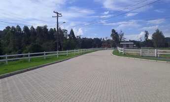 Imagem 5: ONDOMÍNIO DE FAZENDINHAS DE ALTO PADRÃO - OPORTUNIDADE