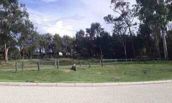 Imagem 5: ONDOMÍNIO DE FAZENDINHAS DE ALTO PADRÃO - OPORTUNIDADE