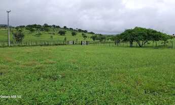 Imagem 4: Linda fazenda de aproximadas, 107t, às margens da Br 324 Norte, toda no capim