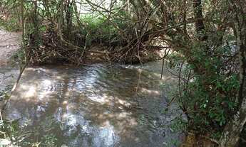 Imagem 5: Lote na fazenda velha