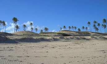 Imagem 6: BARRA DO ITARIRI Terreno de oportunidade FRENTE PARA O MAR escriturado p/ venda c 82.541 M