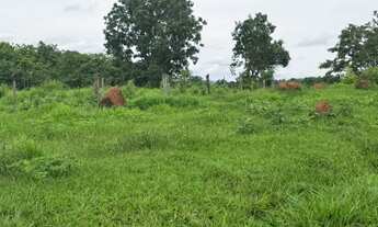 Imagem 4: Fazenda de 239 alqueires em Doverlandia-GO