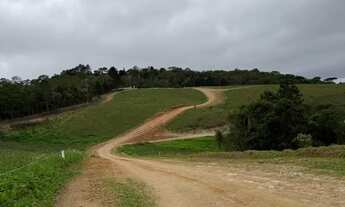 Imagem 3: Lote em Cotia: R$64.990 com Financiamento Direto!